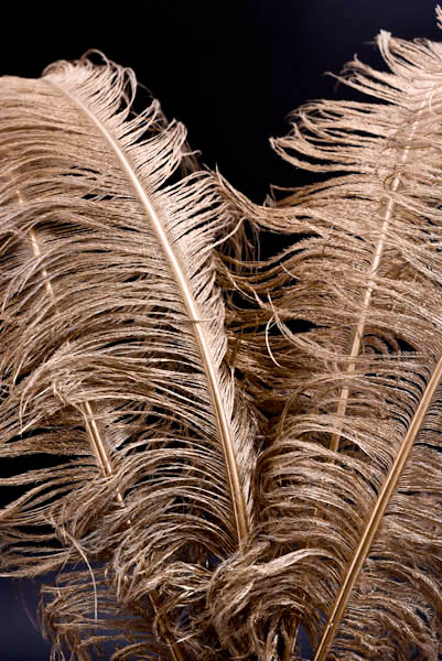 Ontdek de nieuwe items